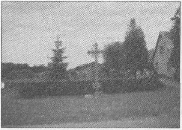 Sergijaus Staniškio-Lito bunkerio Ruseckų sodyboje vieta